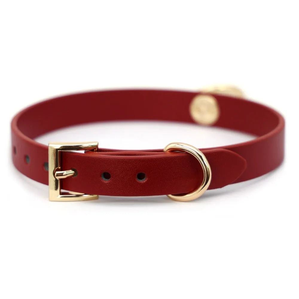 Black genuine cowhide leather dog collar with a matching lead on a grey background.