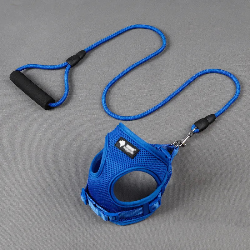Blue adjustable dog leash with foam handle and 120cm rope for small dogs