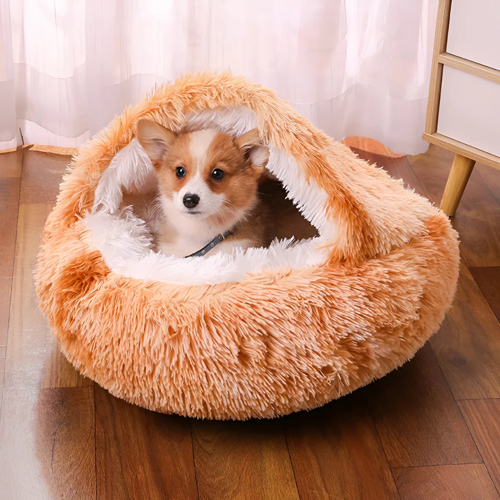 Waterproof indoor dog kennel with warm room in a semi-surrounded design, shown in a gradient colour.