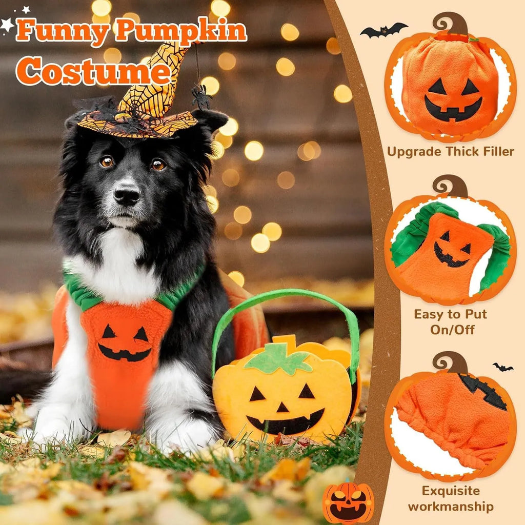 Orange plush pumpkin costume on a small dog for Halloween