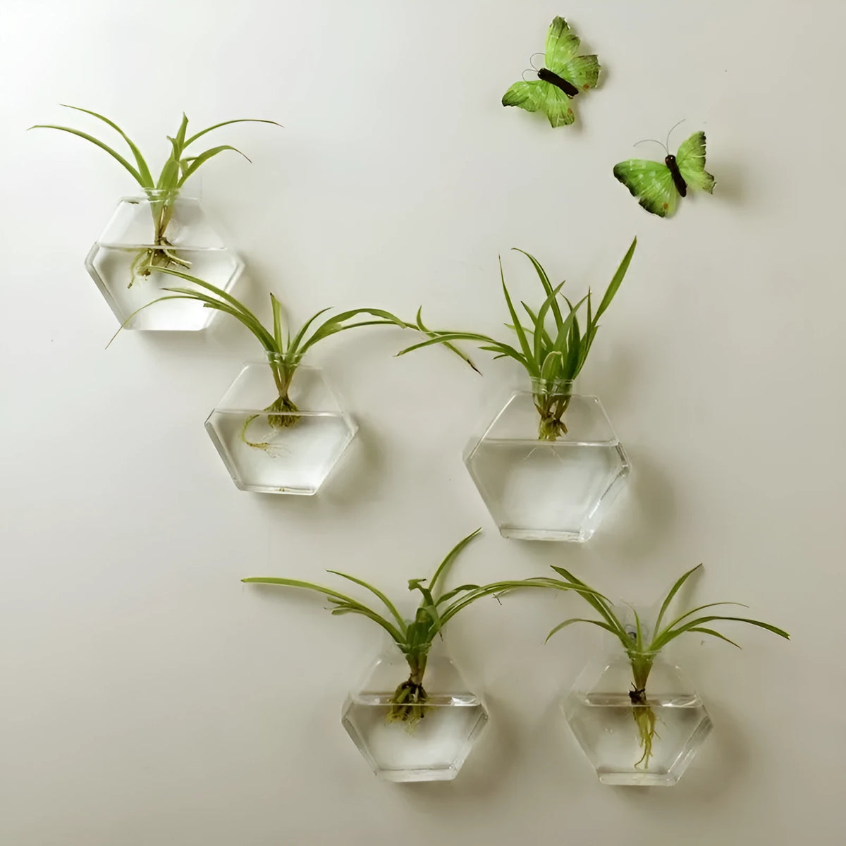 Wall-mounted geometric fish tank in high borosilicate glass, polished finish, 13x13cm and 17x17cm sizes