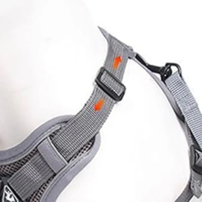 Adjustable mesh cat harness with leash showing reflective strips and secure snap fastenings