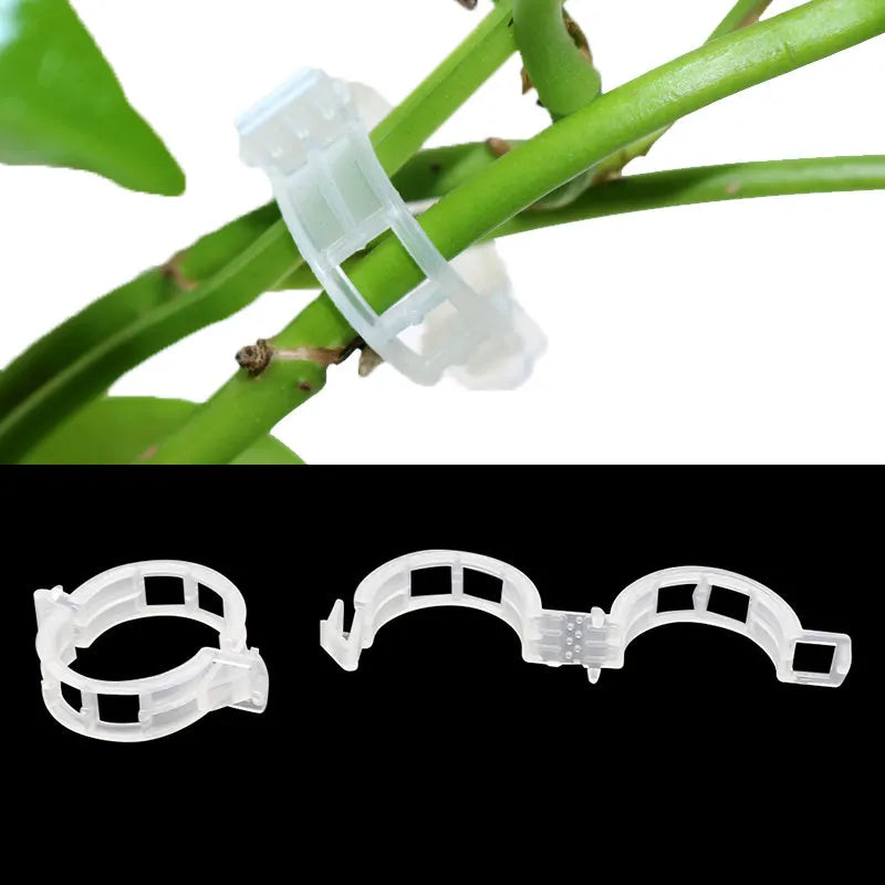 50 plastic grafting clips for tomato plants with smooth surfaces on white background
