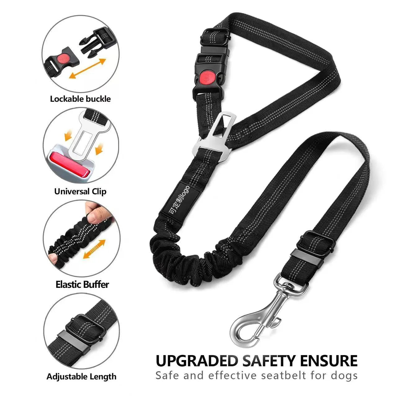 Nylon dog tow rope with metal buckle fastener in assorted colours on a white background.