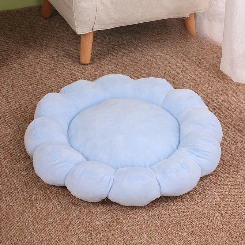 Blue half-surrounded plush pet bed with multi-colour petals, measuring 50x50cm, for cats and small dogs.