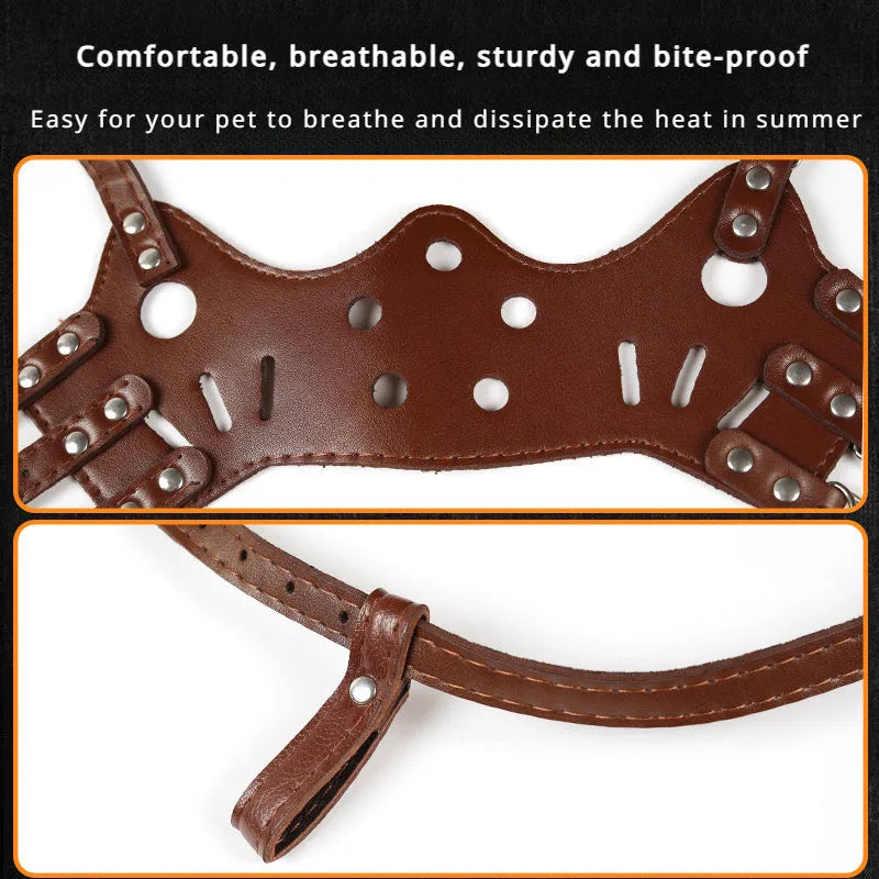 Adjustable dog muzzle silencer for barking and bite prevention on golden retriever