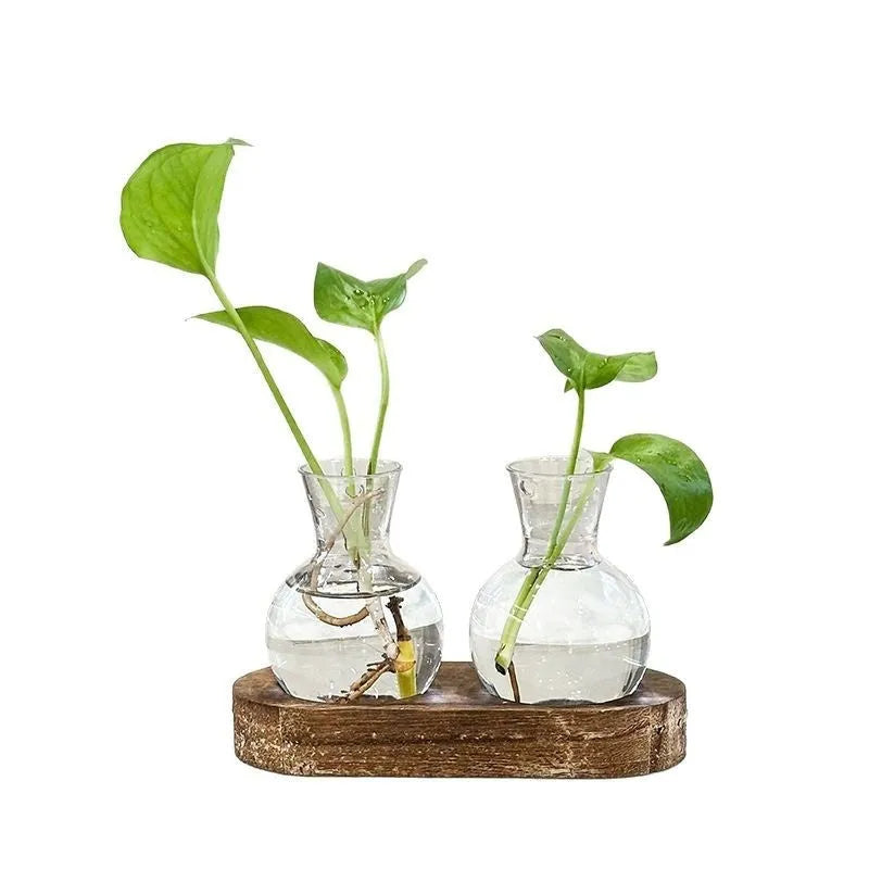 Wooden frame holding transparent PET hydroponic vases in wood colour, arranged neatly for plant display