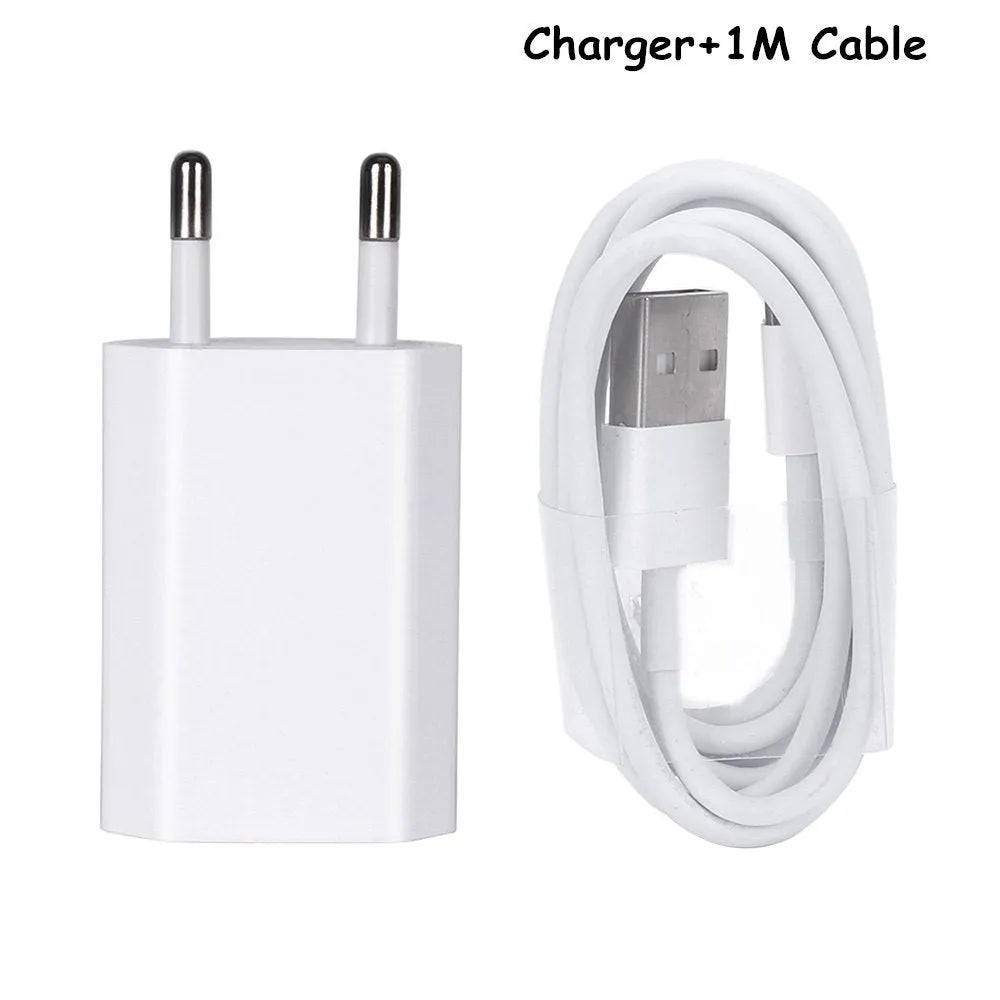 5V2A USB charger with cable for iPhone and iPad models showing 220V input and 5V output specifications