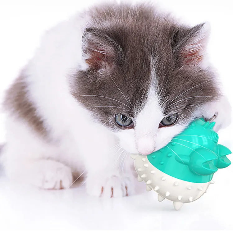 Electric vibration cat toy in TPR with USB charging, 360-degree cleaning design, 0.11KG, blue green yellow