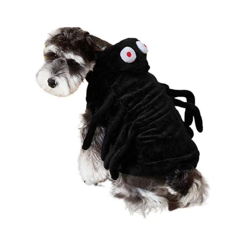 Halloween spider costume for a dog on a white background