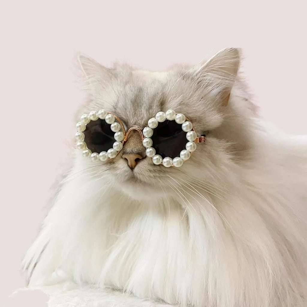 Pearl-rimmed round sunglasses for cats and dogs in black, blue, coffee, orange, and purple.