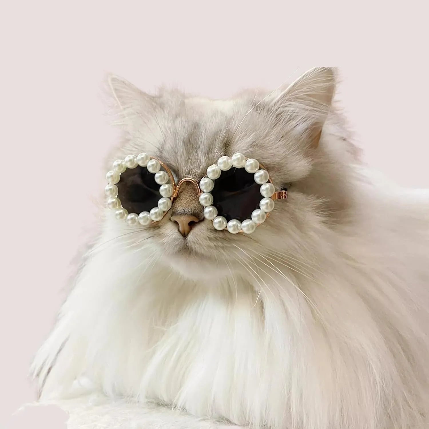 Pearl-rimmed round sunglasses for cats and dogs in black, blue, coffee, orange, and purple.