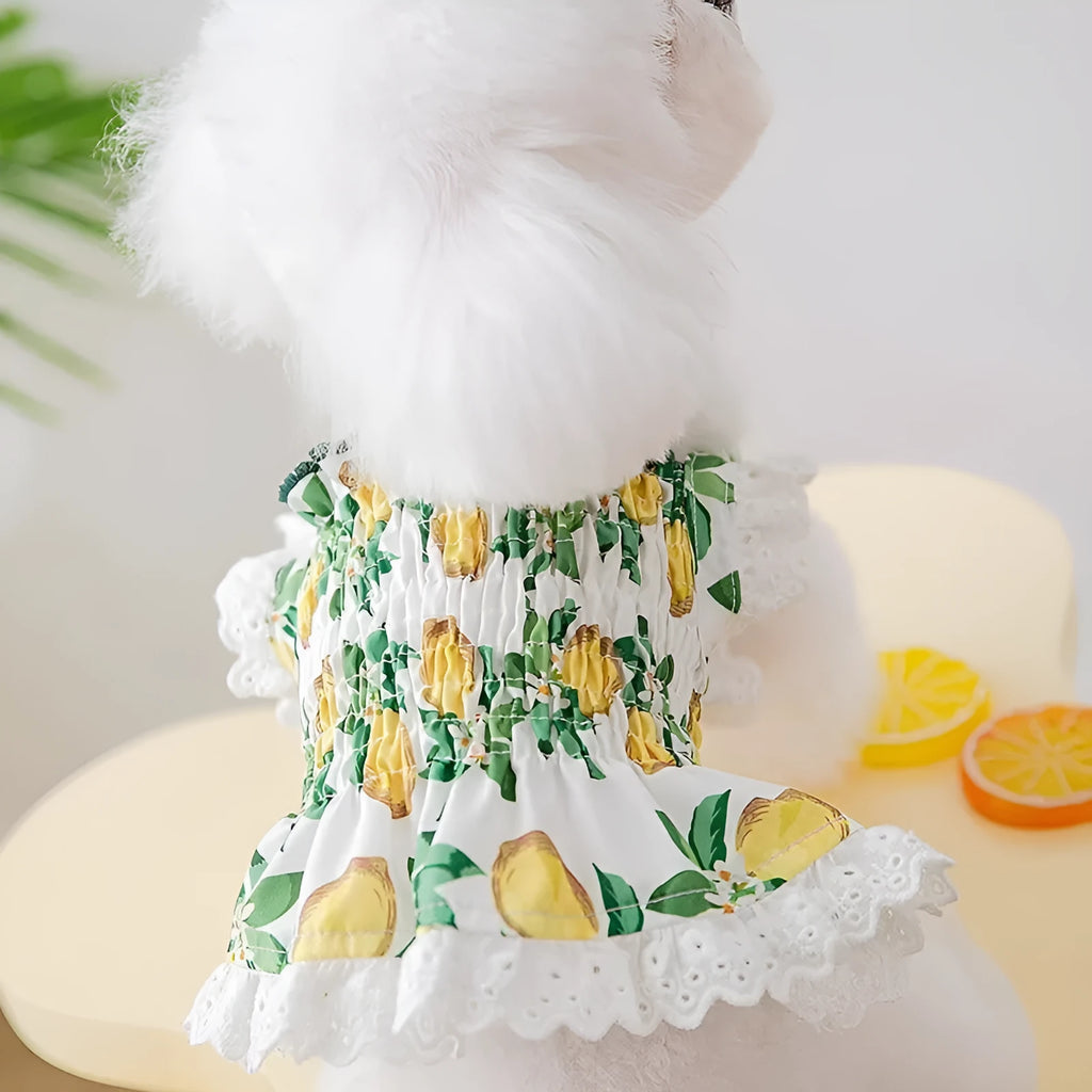 Rock yellow lemon polyester dog dress with adjustable strap skirt on small dog