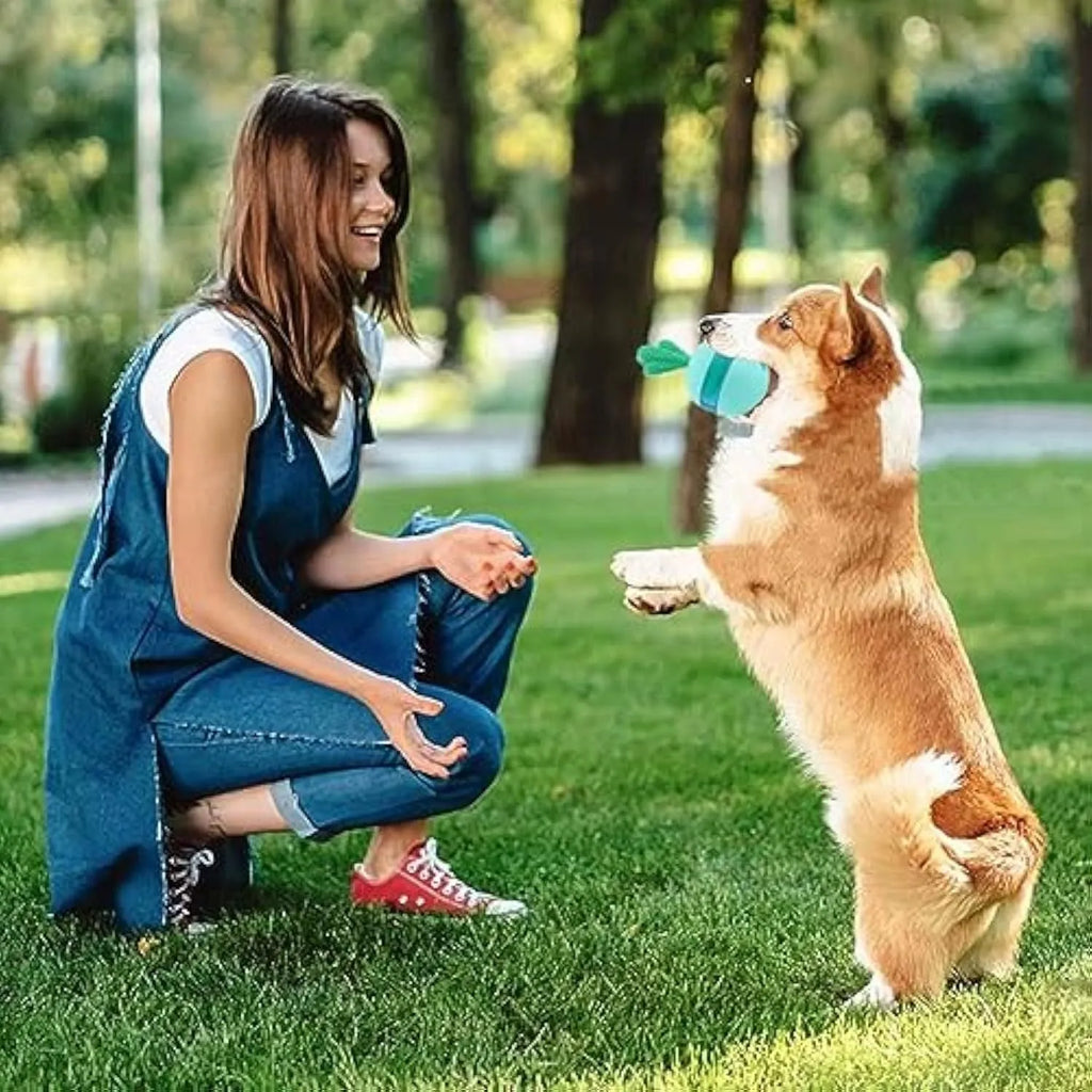 Blue and green durable rubber interactive dog toy with tumbler design for treat dispensing