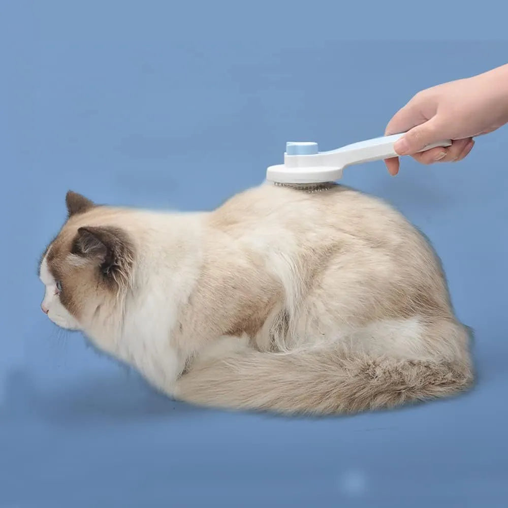 Self-cleaning cat brush with blue handle and metal pins for grooming pets