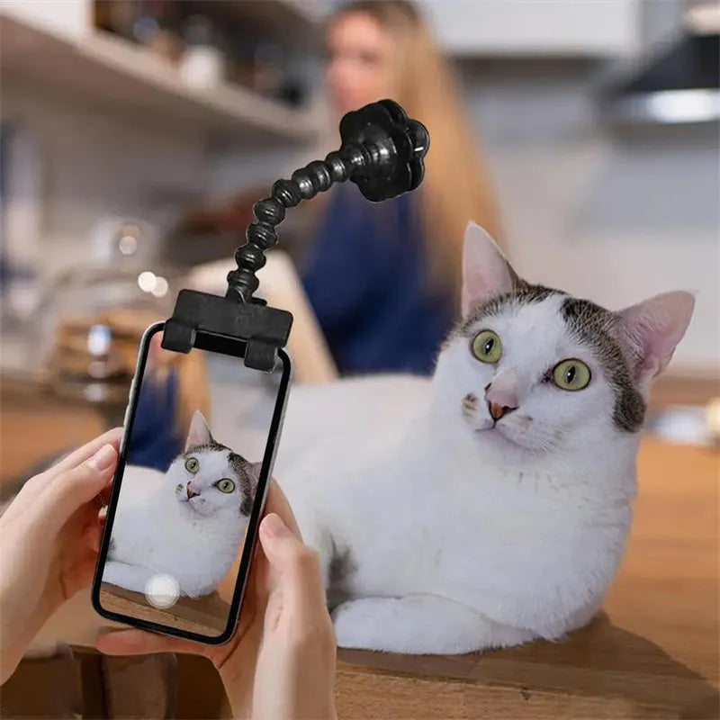 Black pet photography tool with rotating clip and snack holder for mobile phone cameras