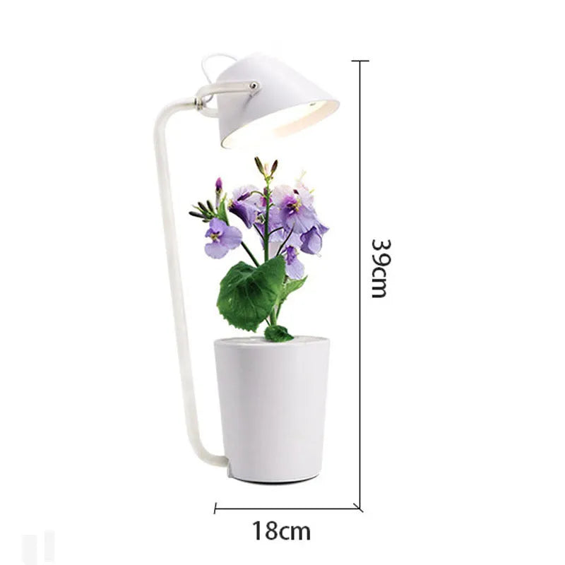 White hydroponic container for soilless desktop plant cultivation with international size regulations