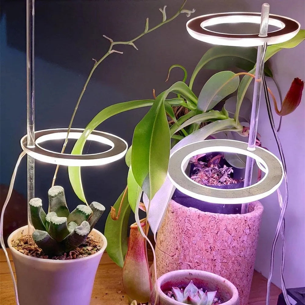 Angel ring shaped USB LED full spectrum grow light for indoor potted plants on a desk.