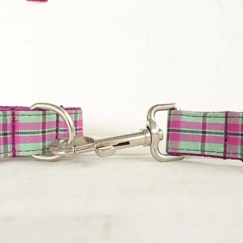 Mint coloured polyester dog collar and leash set with tear-resistant construction