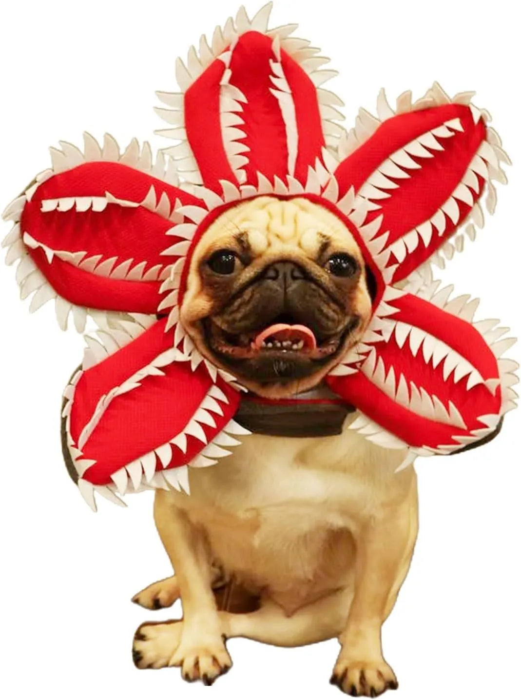 Dog wearing Halloween demon hat costume with headband and flower accessory