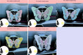 Fabric moving embroidery butterfly car air vent clip decoration in blue colour