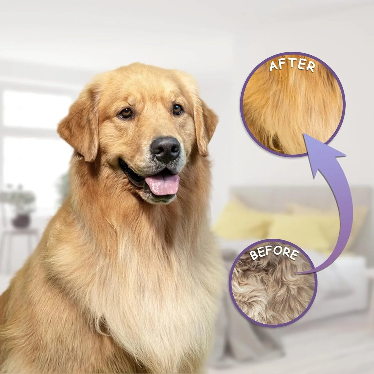 Purple detangling pet comb with stainless steel teeth for grooming dogs and cats, showing ergonomic handle
