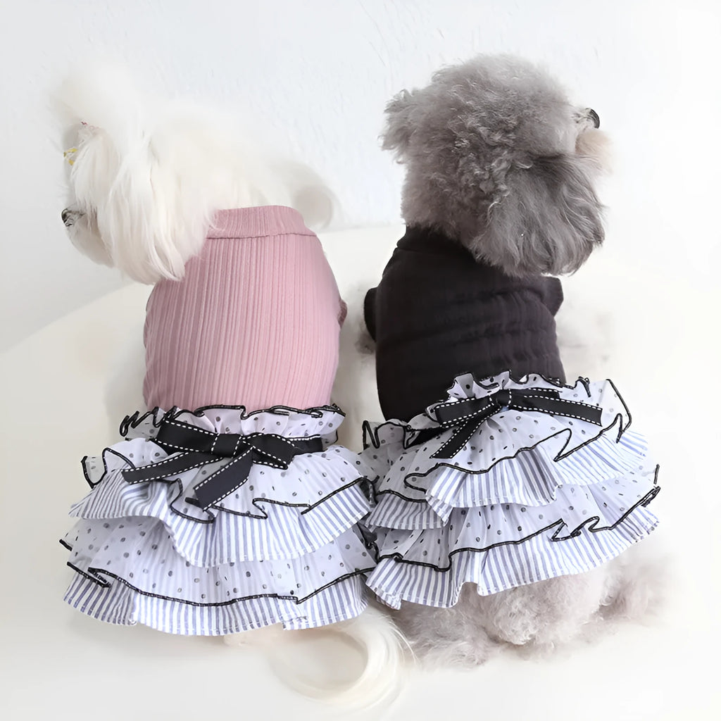 Polka dot lace cake dress pet clothing in princess style with three colour options