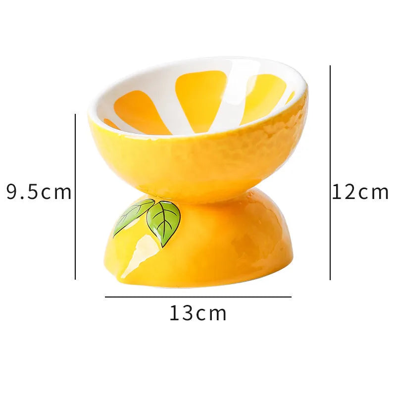 Ceramic raised cat bowl with tilted design, 5-inch height, and patterned surface for indoor pets