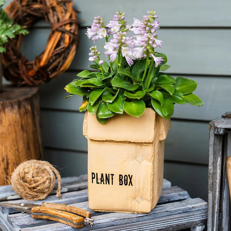 Cement brown paper box flowerpot with Nordic style design and bottom drainage holes for indoor planting