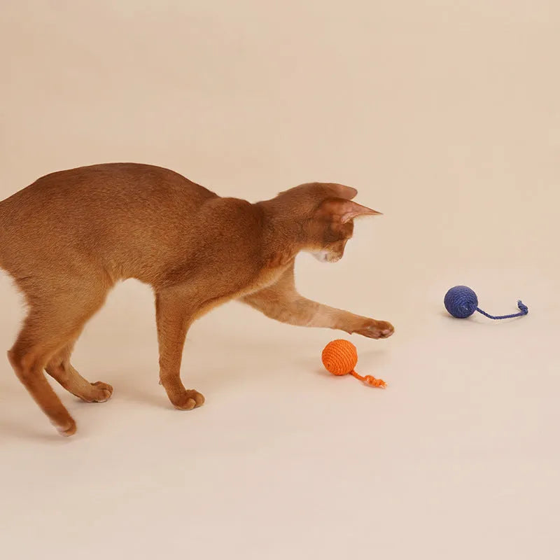 Cat toy set with 255mm teaser stick and bite-resistant catnip ball in blue, green, red, yellow colours