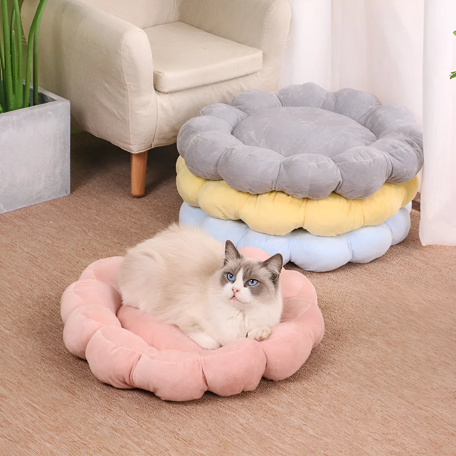Blue half-surrounded plush pet bed with multi-colour petals, measuring 50x50cm, for cats and small dogs.