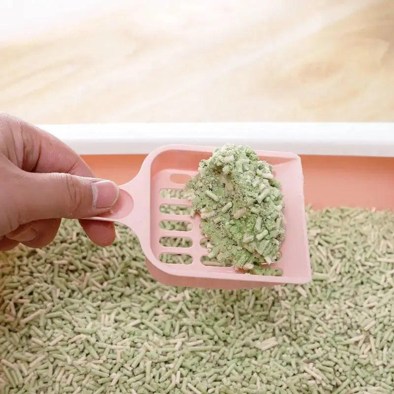 Blue plastic cat litter scoop showing 20cm length and 9cm width dimensions for cleaning litter trays