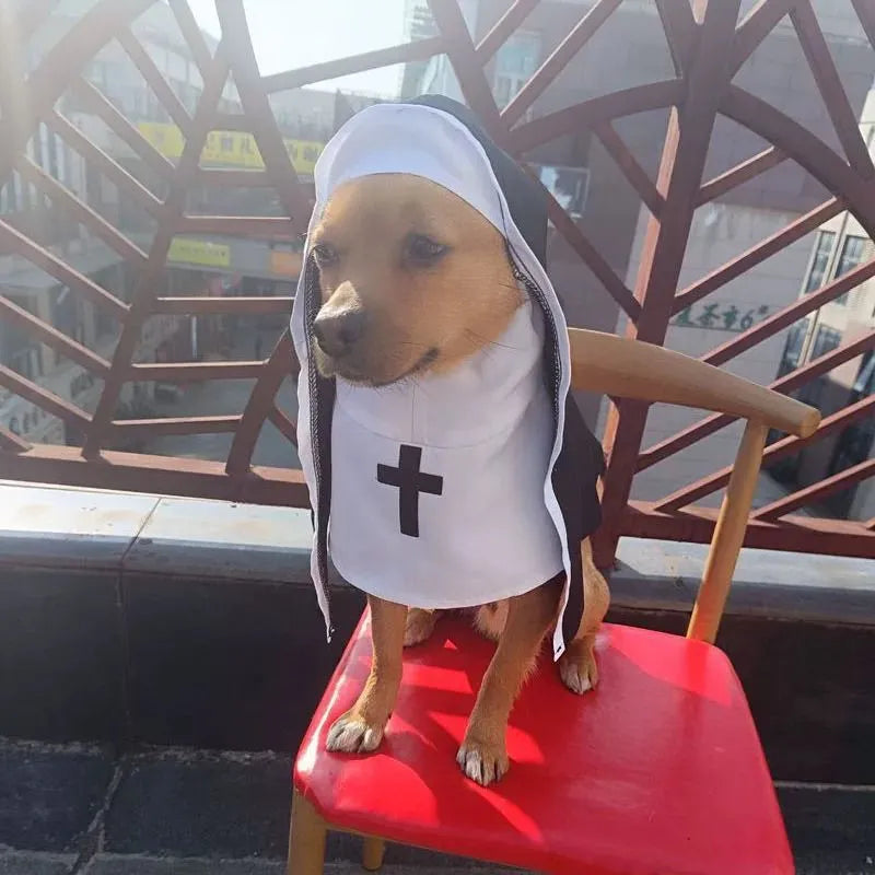 Black and white nun costume cloak on a small dog for Halloween.