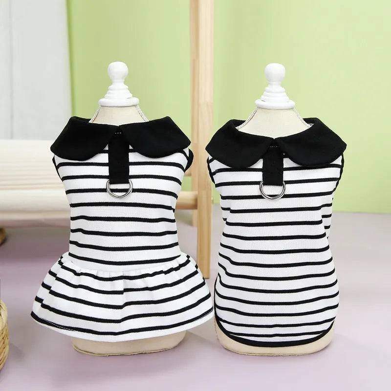 Pet wearing striped cotton T-shirt and skirt set in casual style