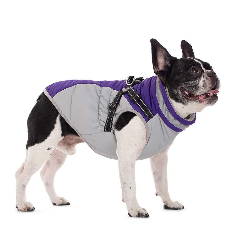 Fleece-lined waterproof zip-up dog jacket in blue, pink, purple or red, sizes S to 5XL