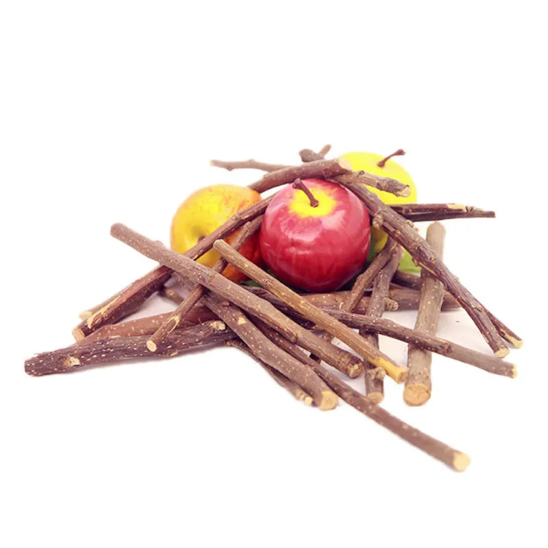Dried apple branches 100g for rabbit, chinchilla and hamster teeth cleansing, each branch 10-13cm long
