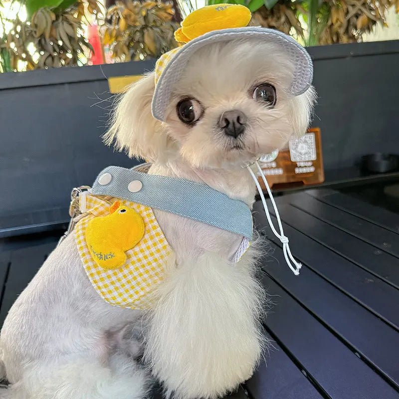 Adjustable dog harness and leash set with 1.2m lead, wire rope pulling rope, and accessories in four sizes