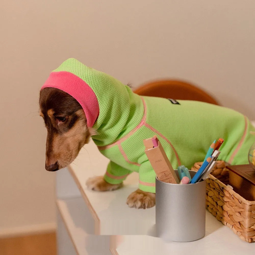 Waffle dachshund pullover, four-legged warm pet clothing in green or orange, sizes XS to XXL