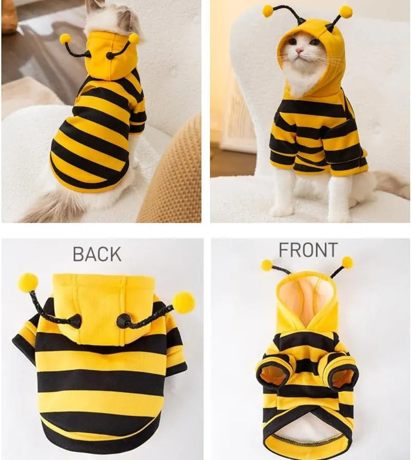 Yellow and black striped bee antenna hoodie for small dogs and cats with flexible antennae and back belt hook