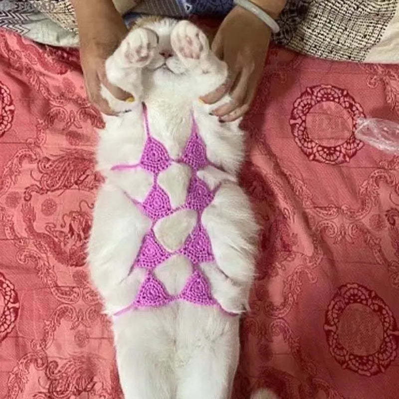 Cat wearing a polyester bikini costume in multiple colour options for Halloween or festival events