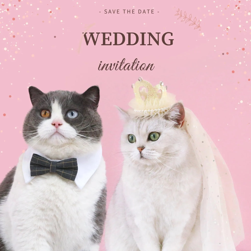 Adjustable princess crown headdress for cats with veil in beige or pink options, cotton-polyester material