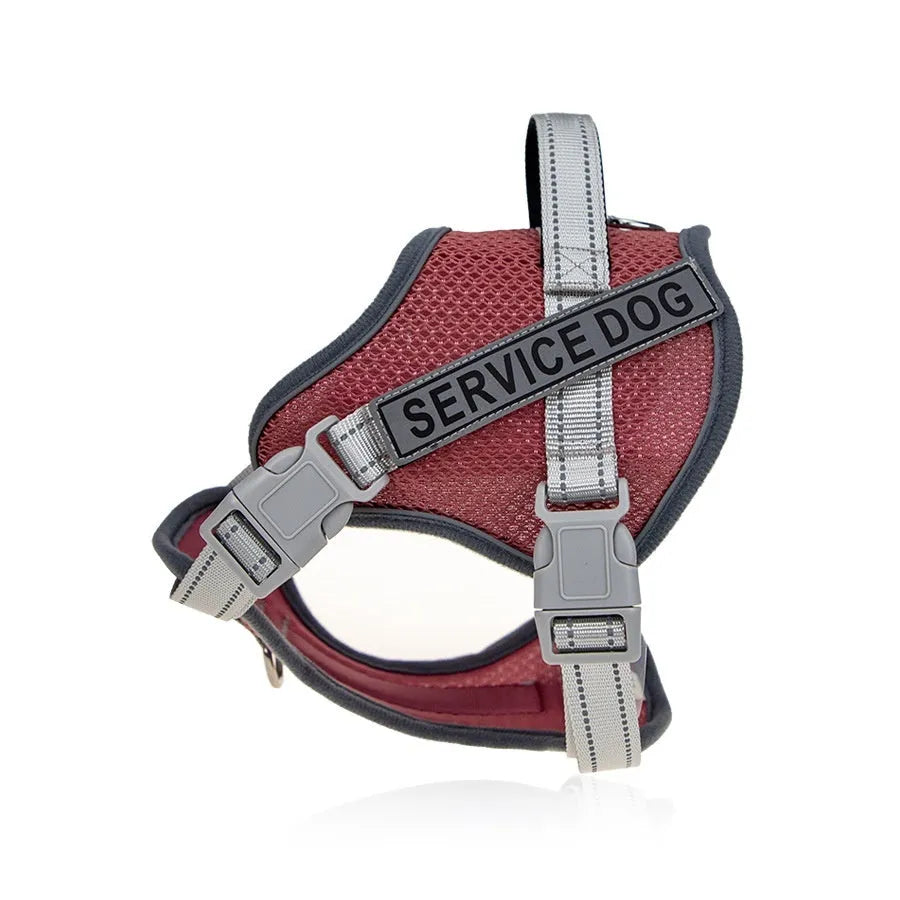 Colourful reflective dog harness with a neck protection ring on a model dog.