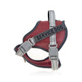 Colourful reflective dog harness with a neck protection ring on a model dog.