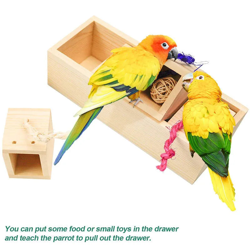 Wooden parrot puzzle training toy set for bird mental stimulation and foraging.