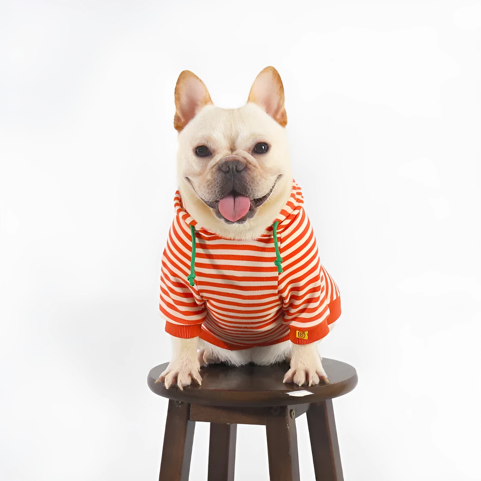 Orange cotton hooded sweater for a dog on a mannequin, showing Japanese South Korean style.