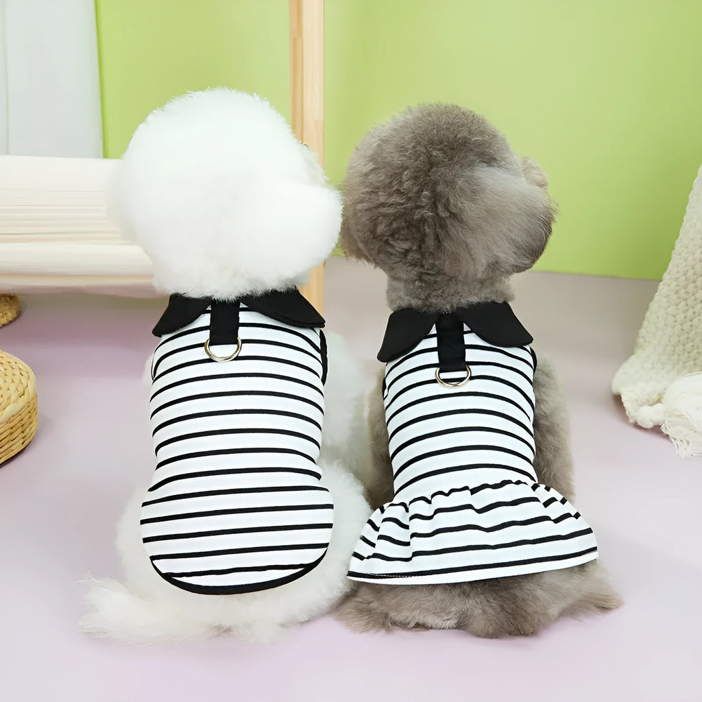 Pet wearing striped cotton T-shirt and skirt set in casual style