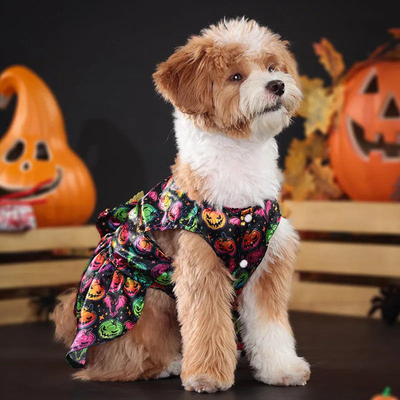 Halloween dog costume with angel wings in bright pumpkin design, showing front closure and wing extension