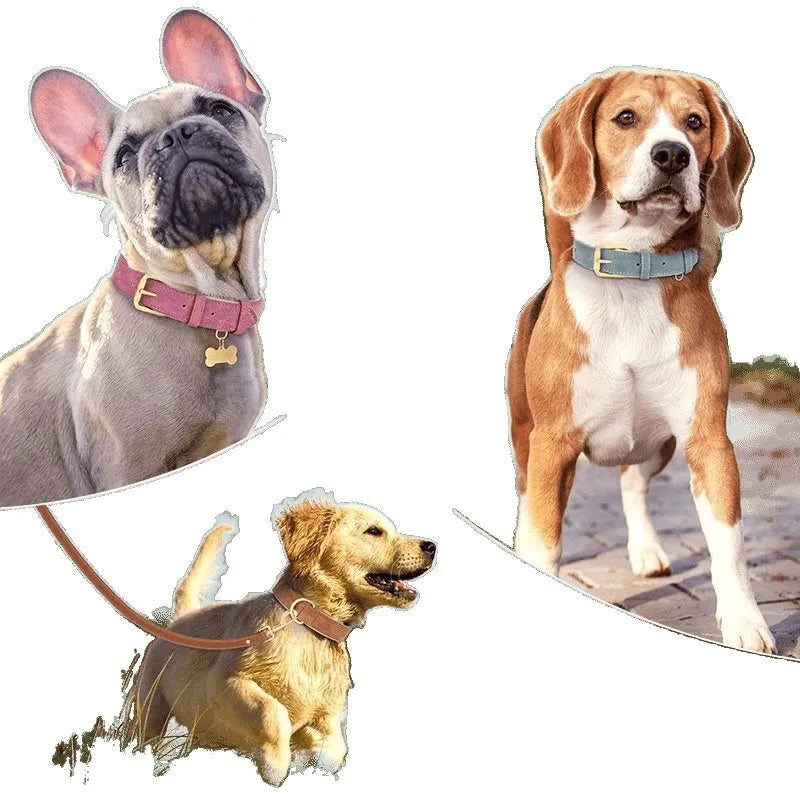 Double-layer leather dog collar with mohair lining in rose red, adjustable for dogs 7-65 pounds with matching lead.
