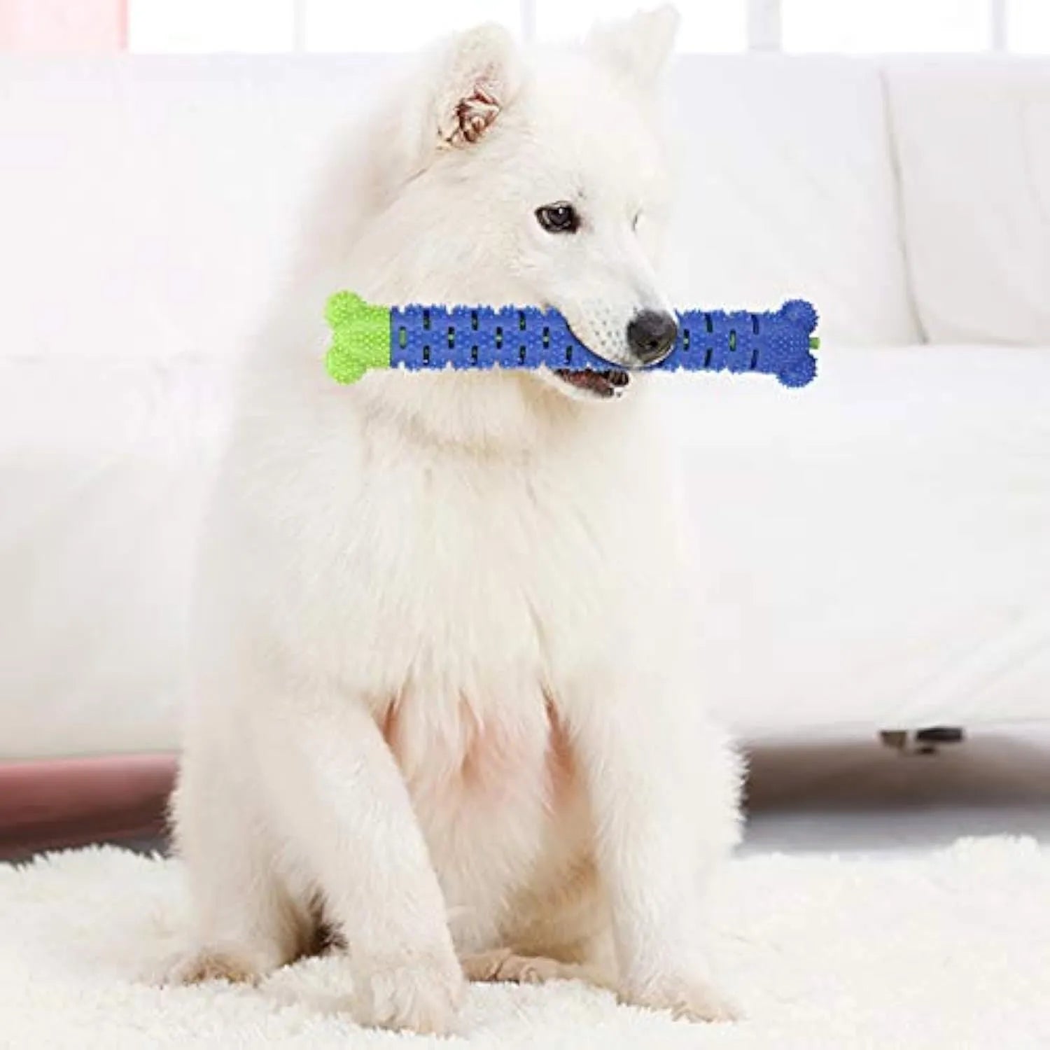 Blue Green Pet Molar Tooth Cleaner, a 25cm silicone brushing stick with serrated head and crevice for dog teeth cleaning