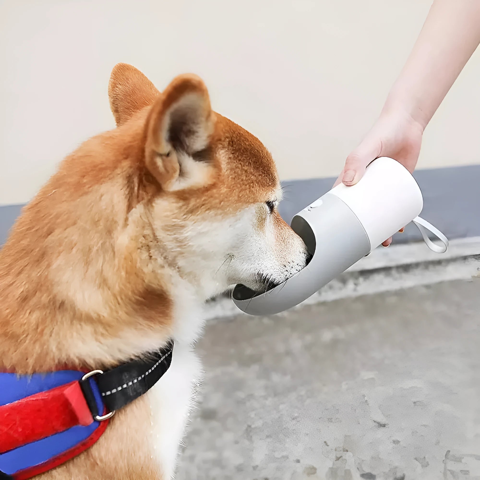 White and grey Moestar Rocket Pet Cup for dogs with 270ml capacity